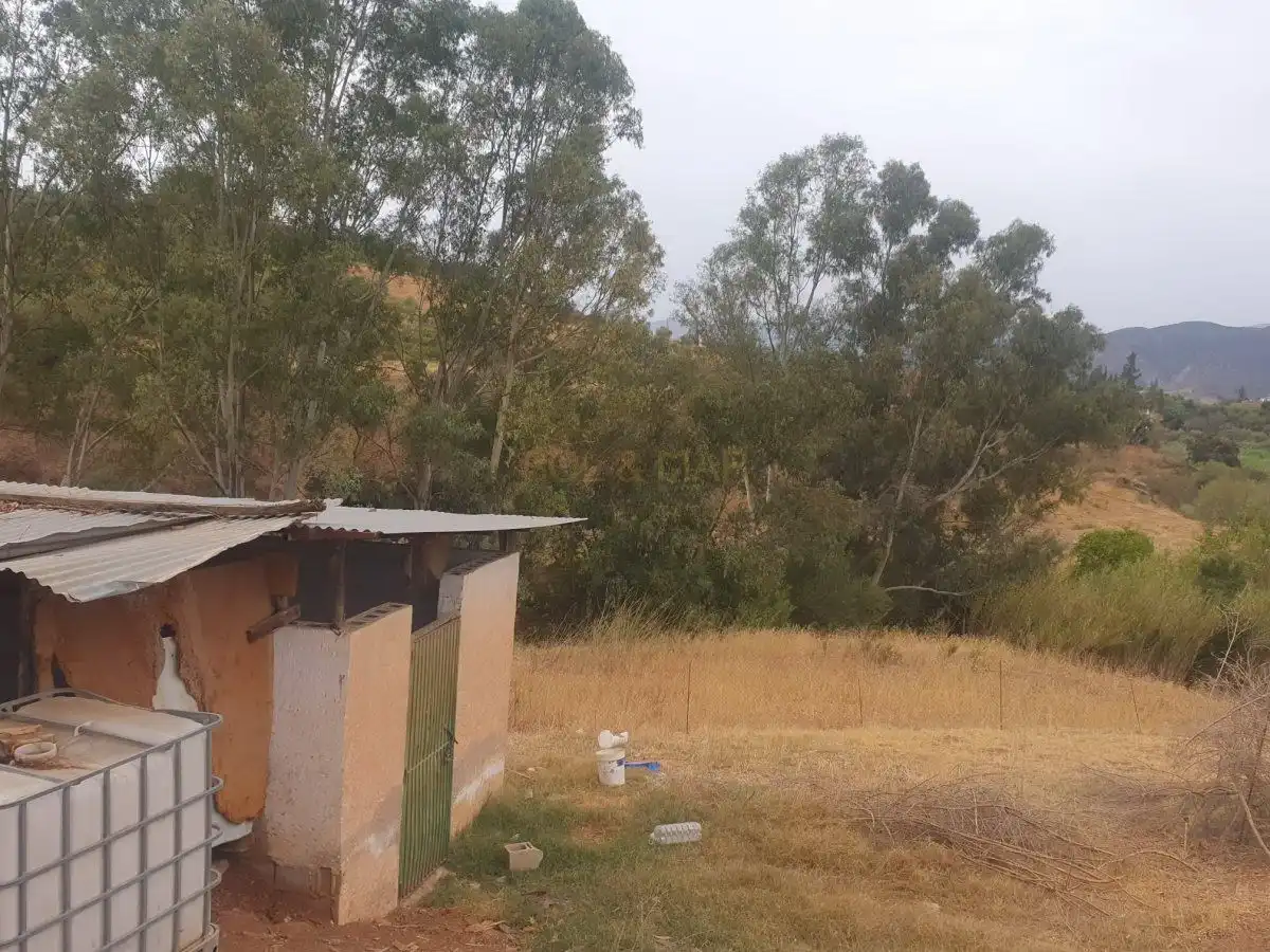 Casa rústica en venta en Campanillas, imagen 4