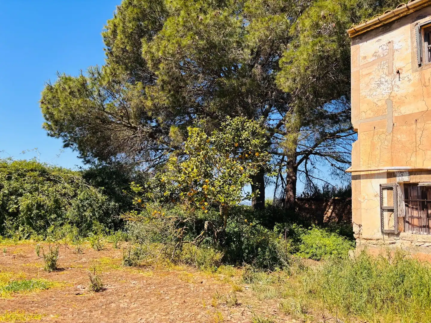 Casa rustica in vendita a Felanitx Poble, imagen 4