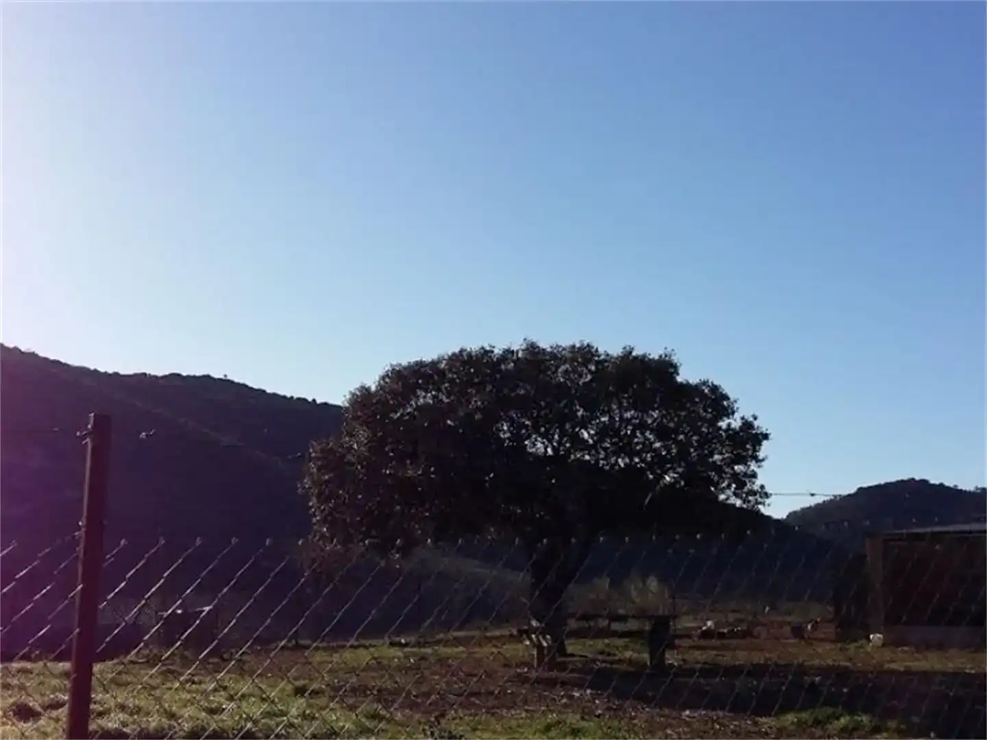 Vista exterior de Finca rústica en venda en Villarta de los Montes
