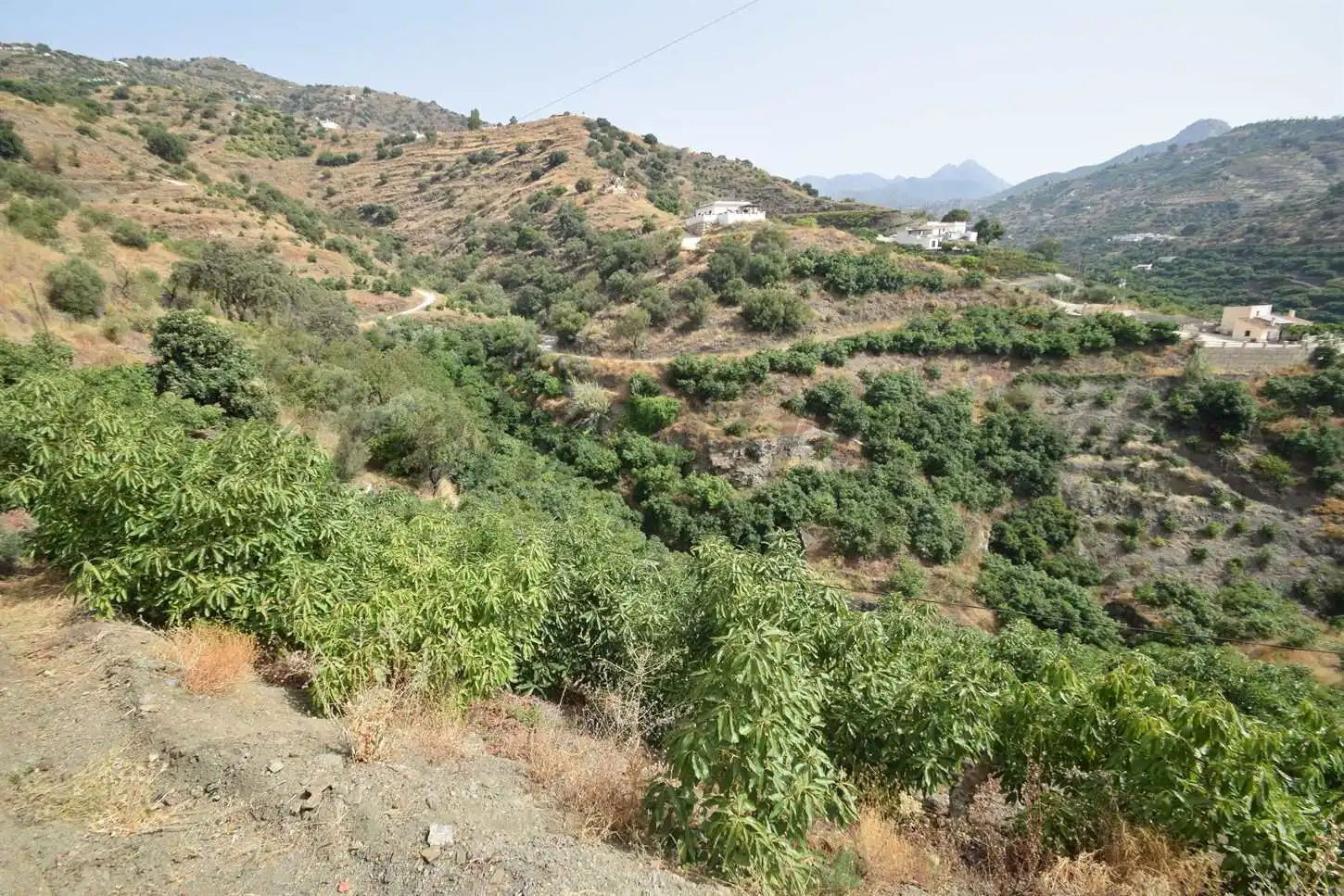 Rustikales Grundstück zum Verkauf in Torrox Pueblo, imagen 2