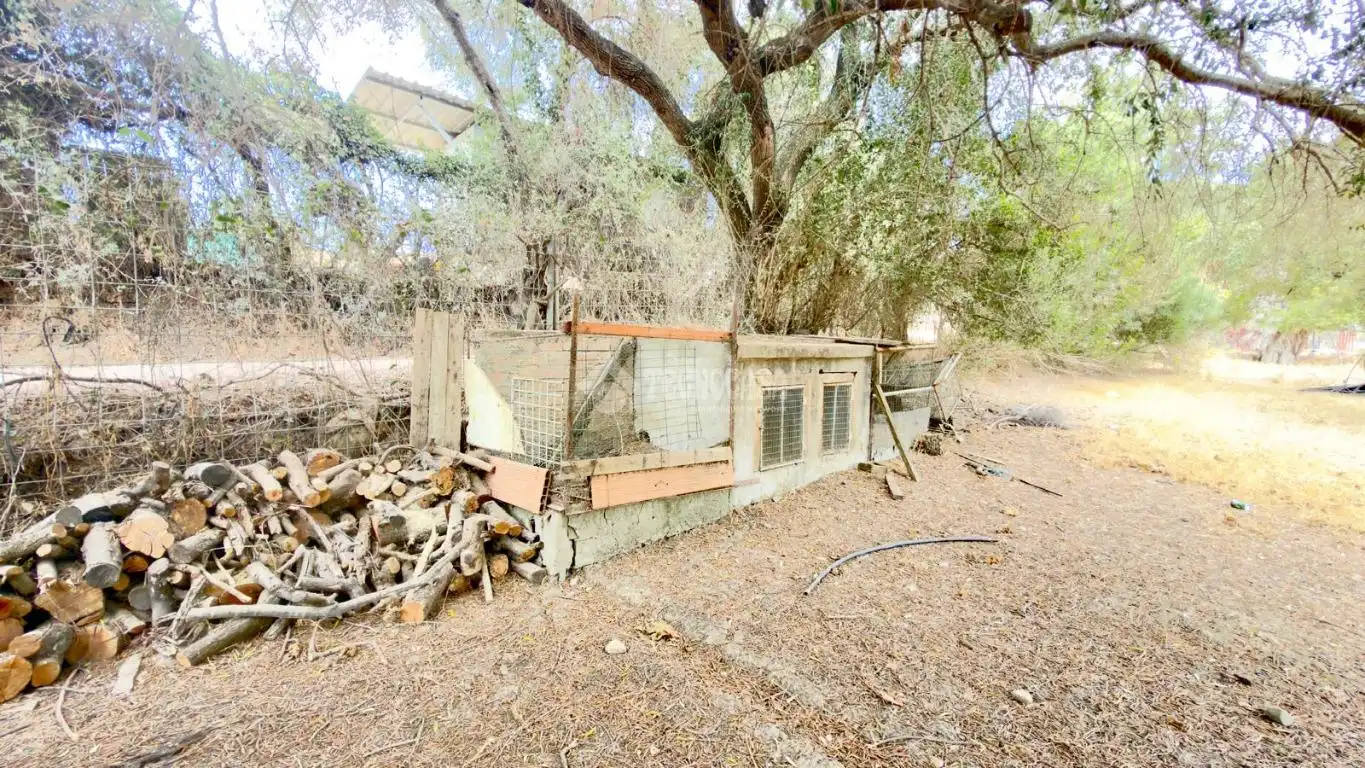 Maison rustique à vendre à Jimena de la Frontera, imagen 16