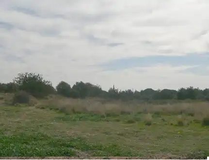 Terreny rústic en venda a Ptda Las Canals - Las Teclas -, imagen 7