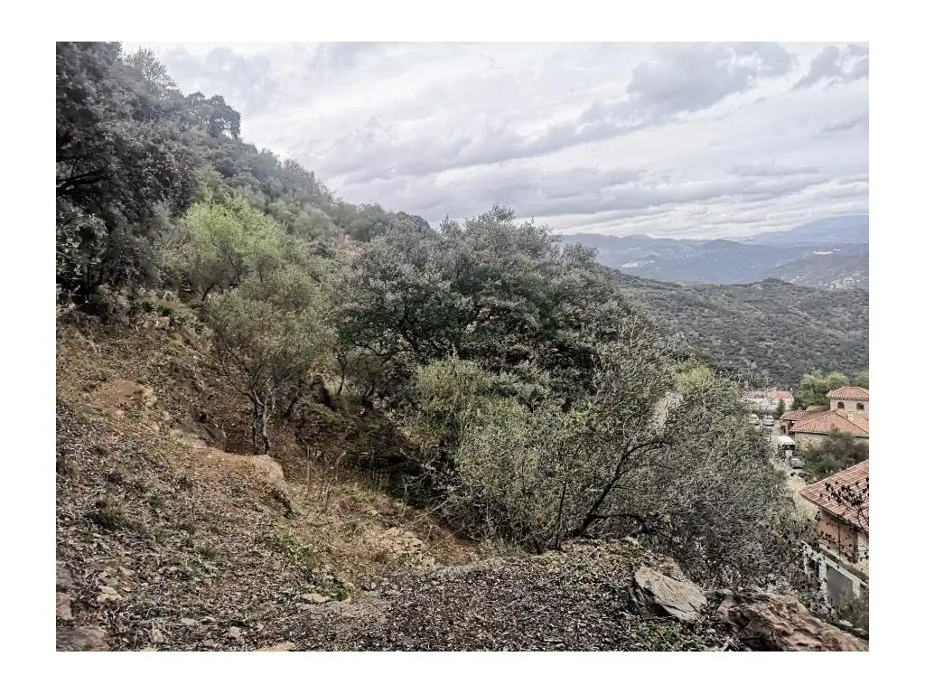 Casa rústica en venta en Algatocín, imagen 26
