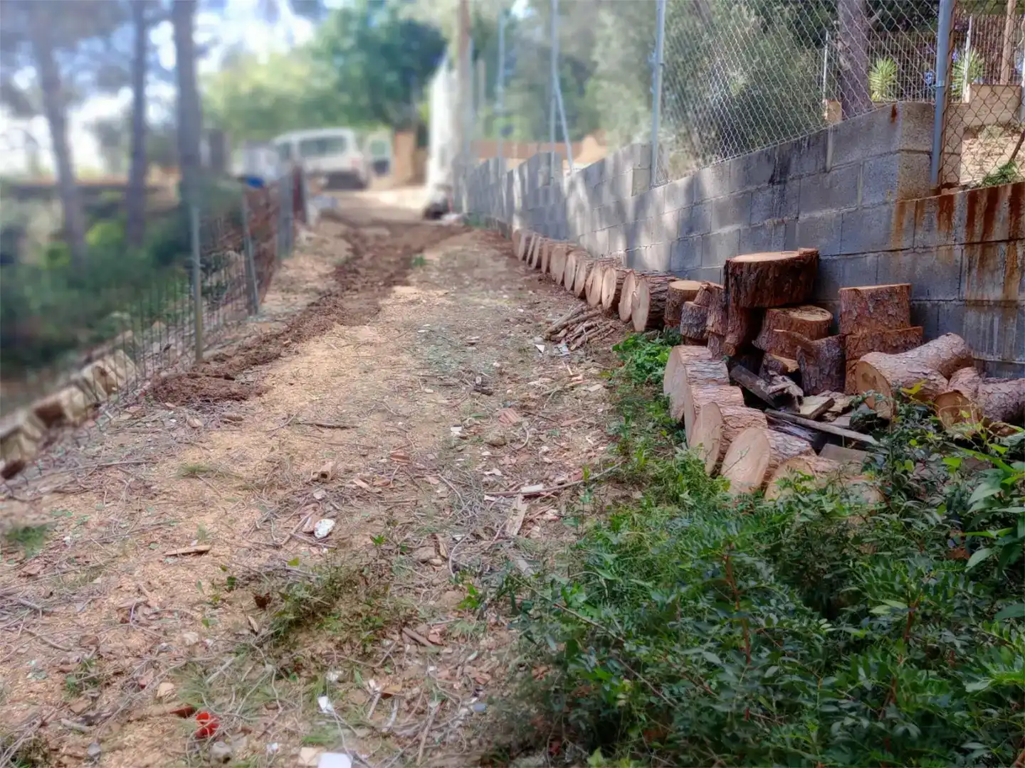 Garden of Residential for sale in L'Albiol