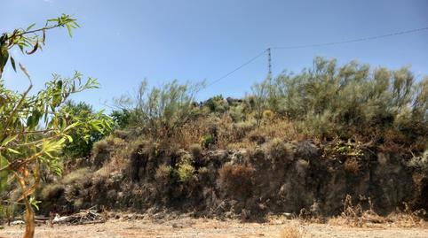Foto 5 de Finca rústica en venda a Lubrín, Almería