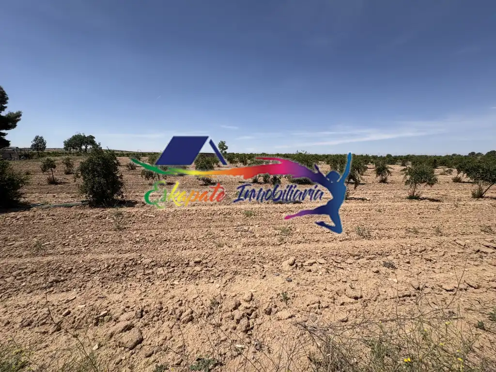 Terrenys i solars en venda a Carretera Villafranca, imagen 5