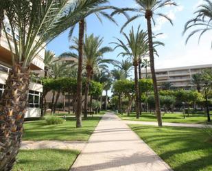 Exterior view of Flat for sale in Torrevieja  with Air Conditioner and Terrace