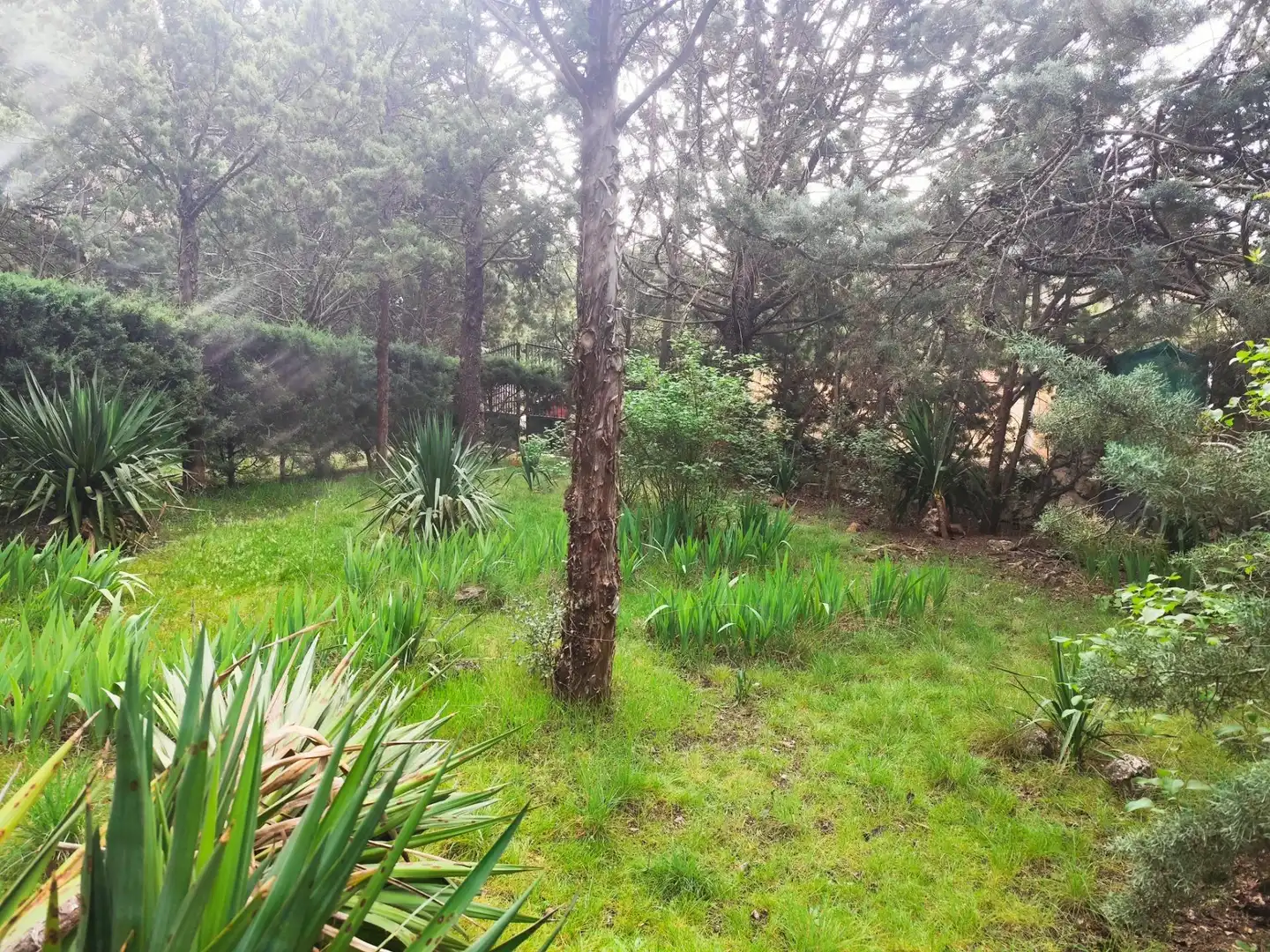 Casa o xalet en venda en Hontoba amb Calefacció