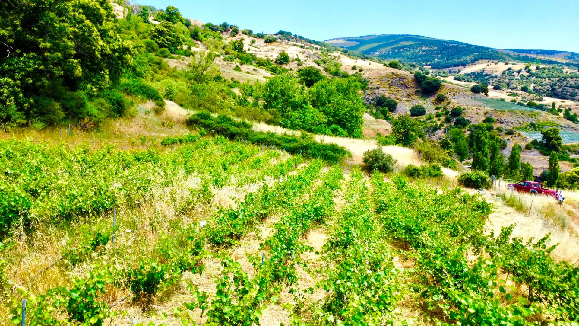Terreni e lotti in vendita a Alpujarra de la Sierra, imagen 2