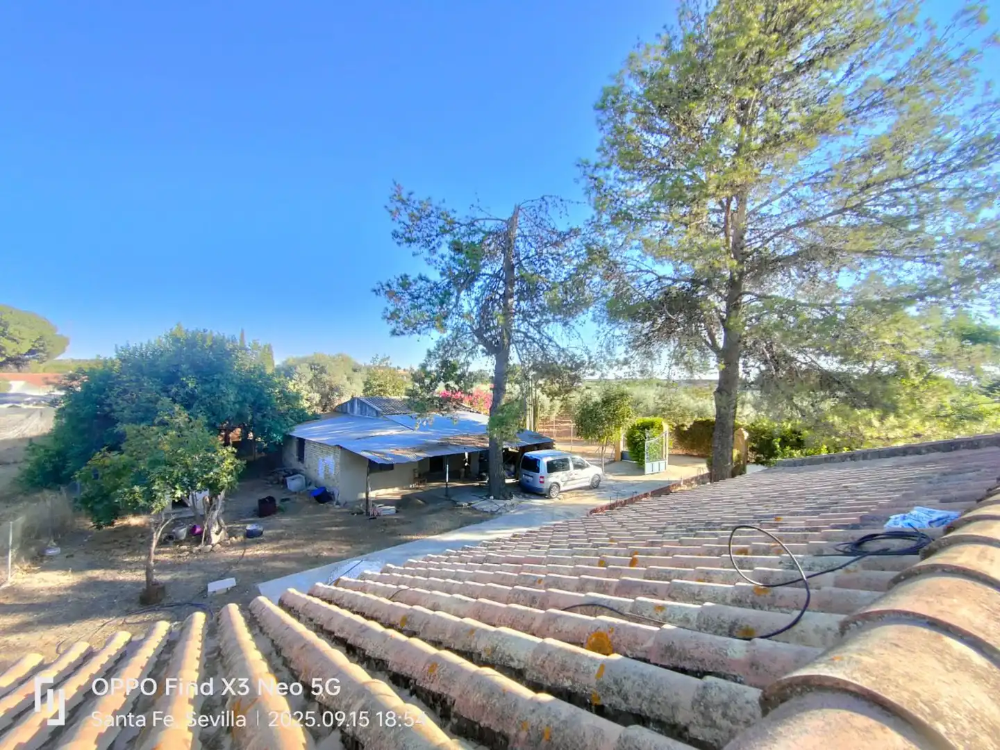 Vista exterior de Casa o chalet en venta en Carmona con Terraza