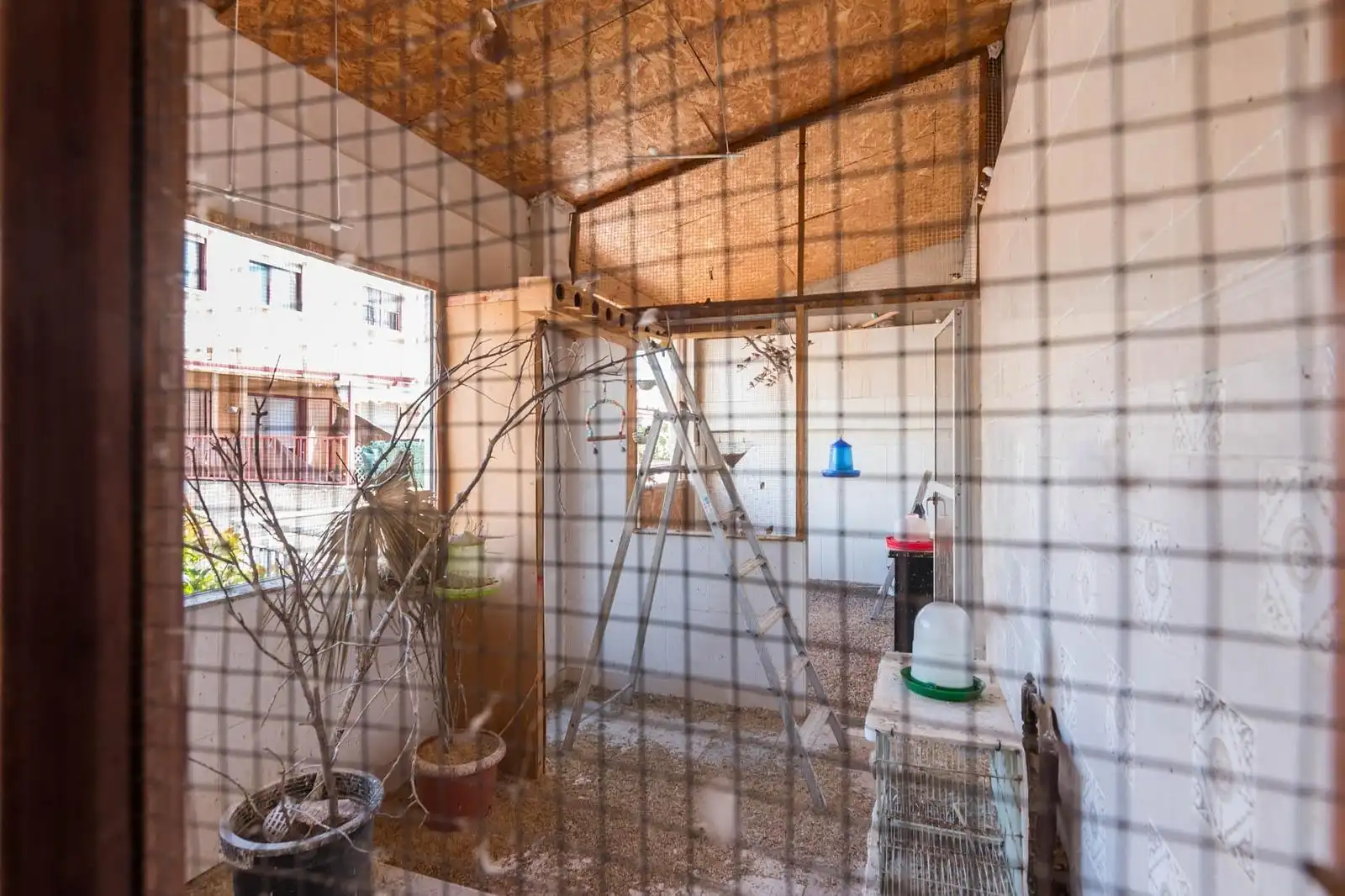 House for sale in Pedanías Este, imagen 41