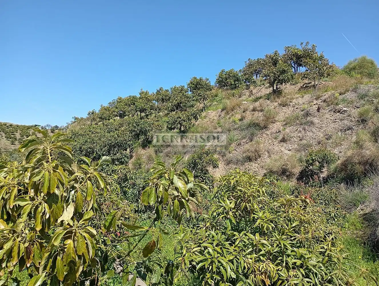 Grundstücke und Bauplätze zum Verkauf in Vélez-Málaga ciudad, imagen 9