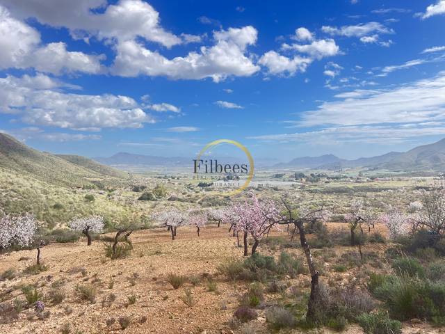 Finca rústica en Venta en Morata