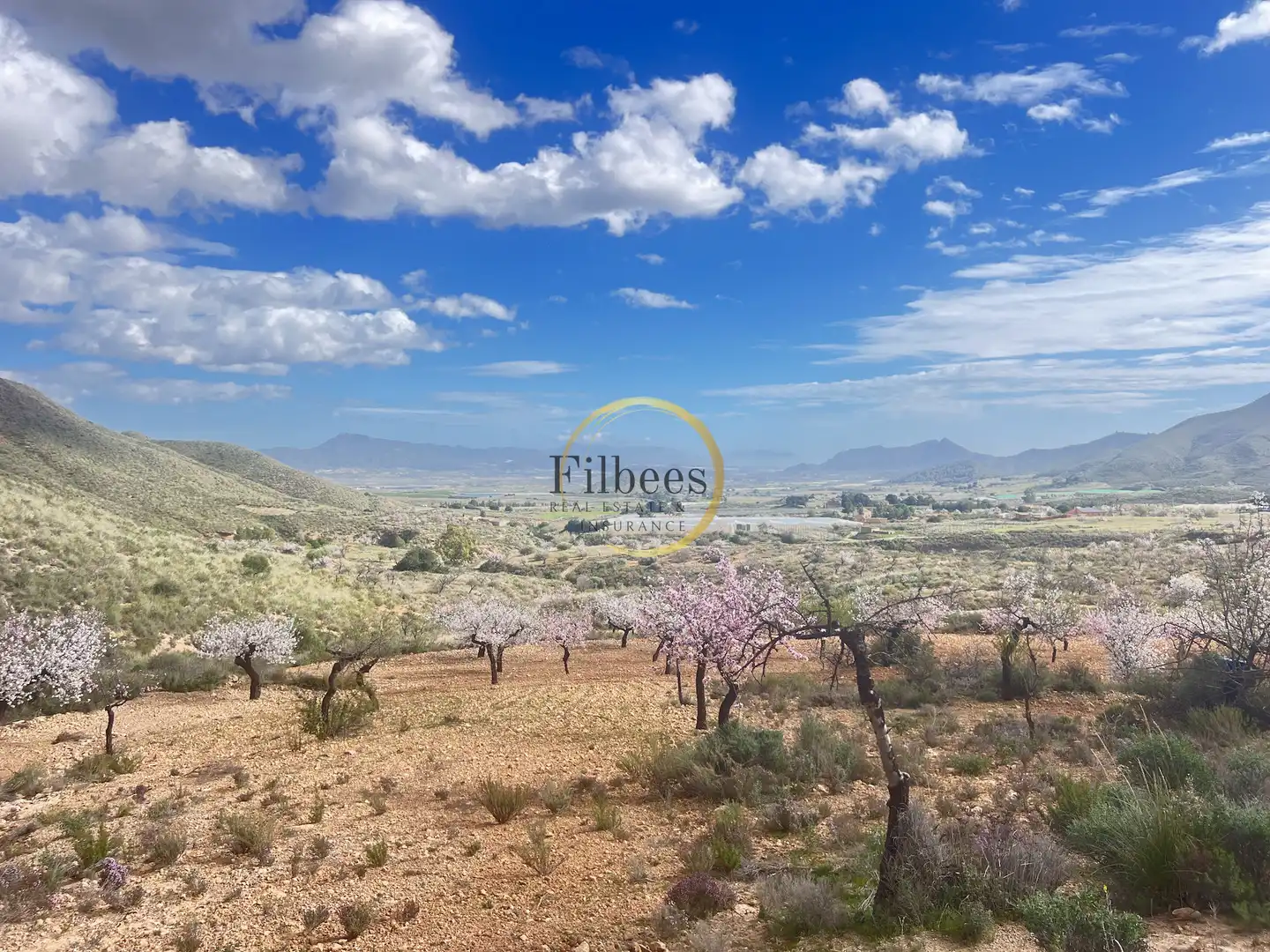 Finca rústica en venta en Morata
