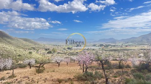 Foto 3 de Finca rústica en venta en Morata, Lorca