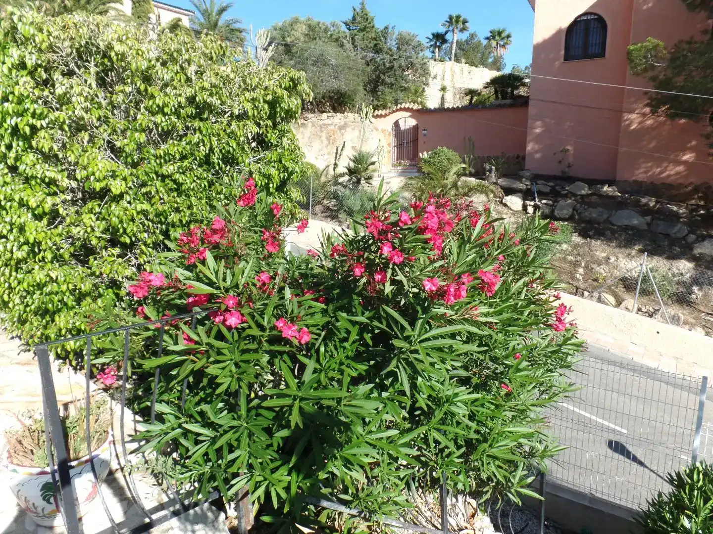 Jardí de Pis en venda en El Campello amb Aire condicionat, Jardí privat i Piscina