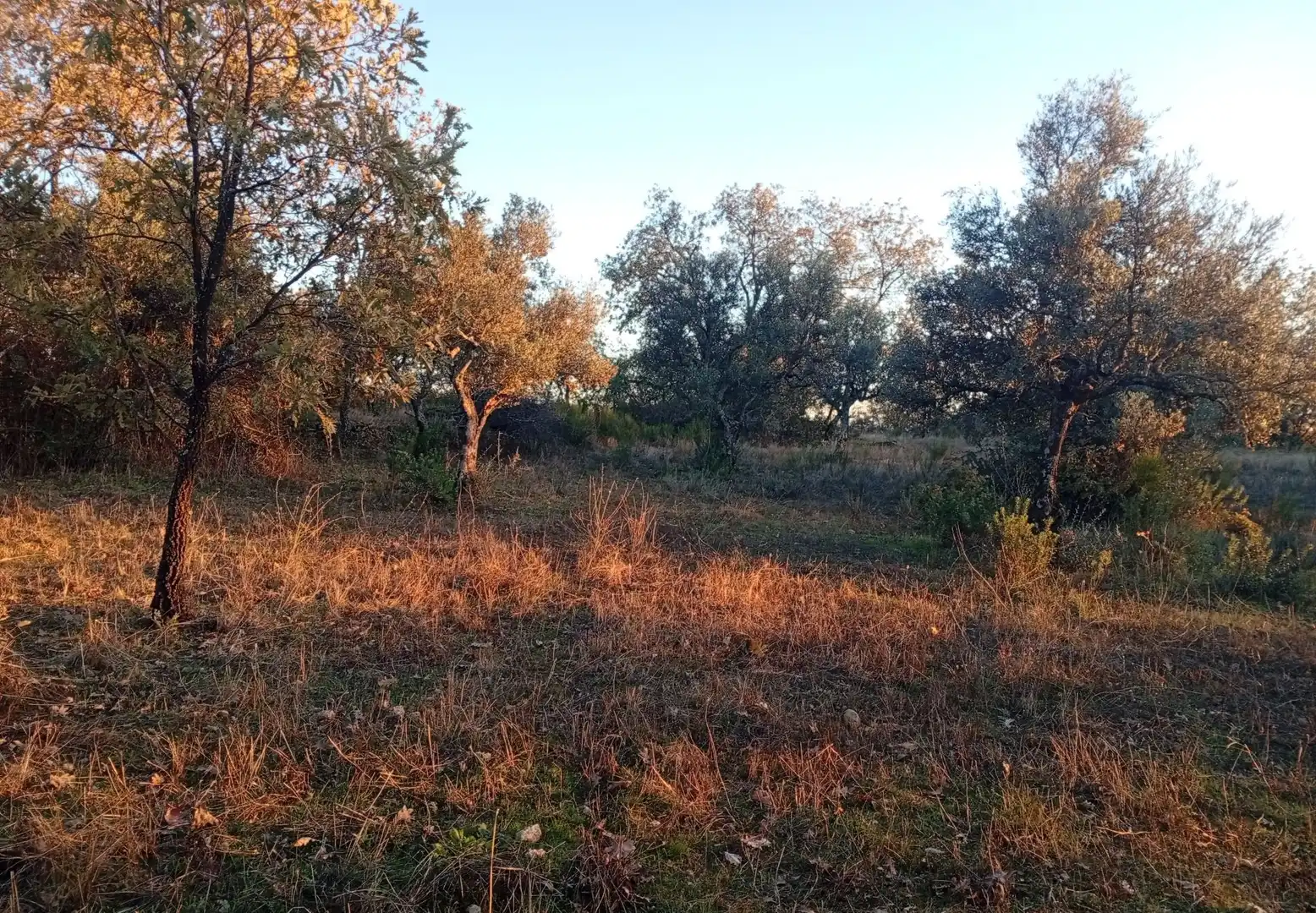 Terreni e lotti in vendita a Viandar de la Vera, imagen 11