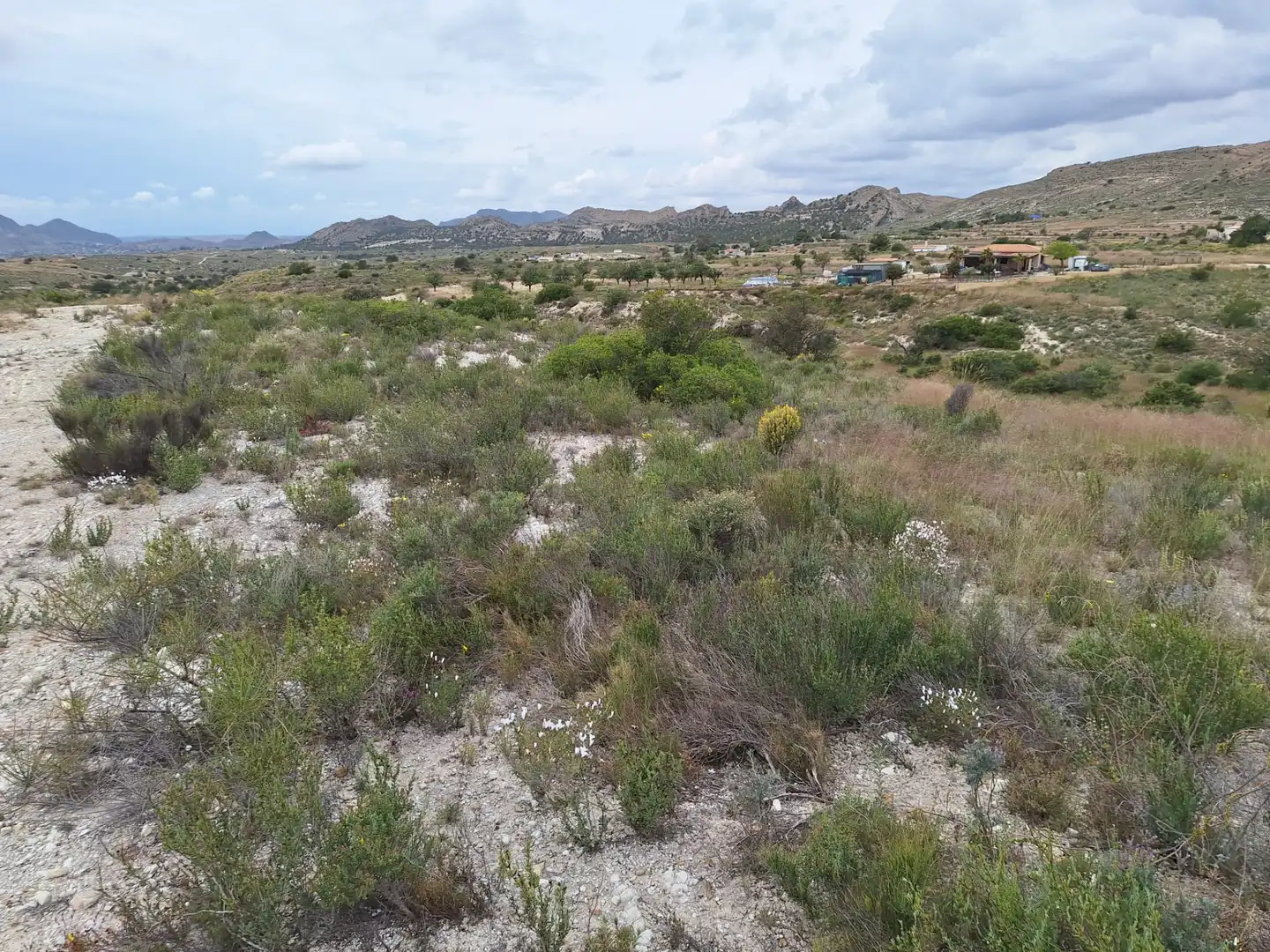 Terreny en venda en Alicante / Alacant