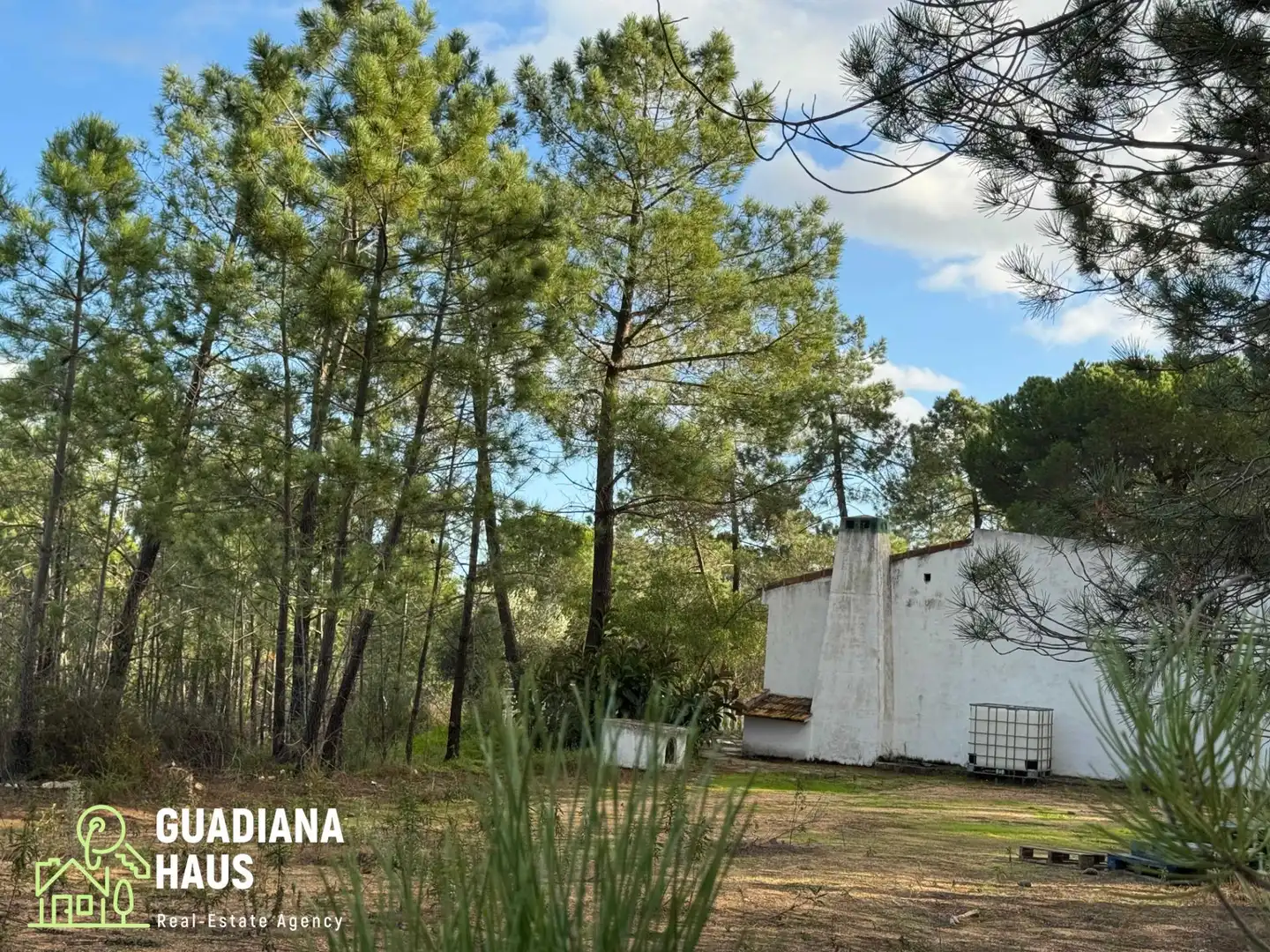 Vista exterior de Finca rústica en venda en Villablanca amb Jardí privat i Traster