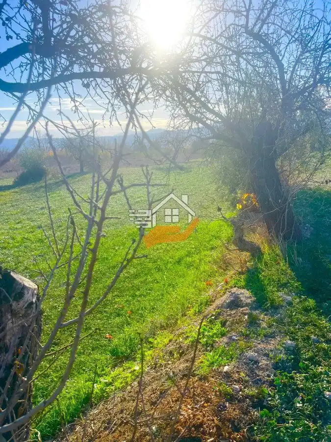 Lands and plots for sale in Vélez-Blanco