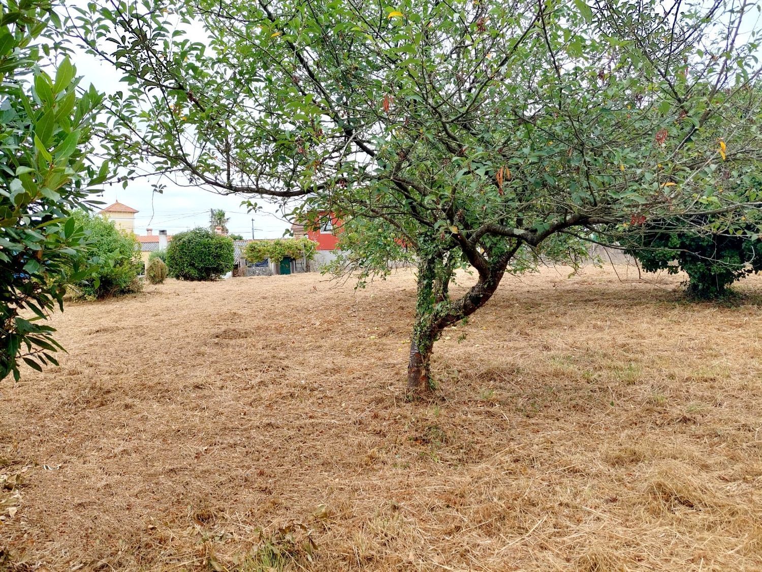 Casa o chalet en venta en Culleredo con Jardín privado y Trastero
