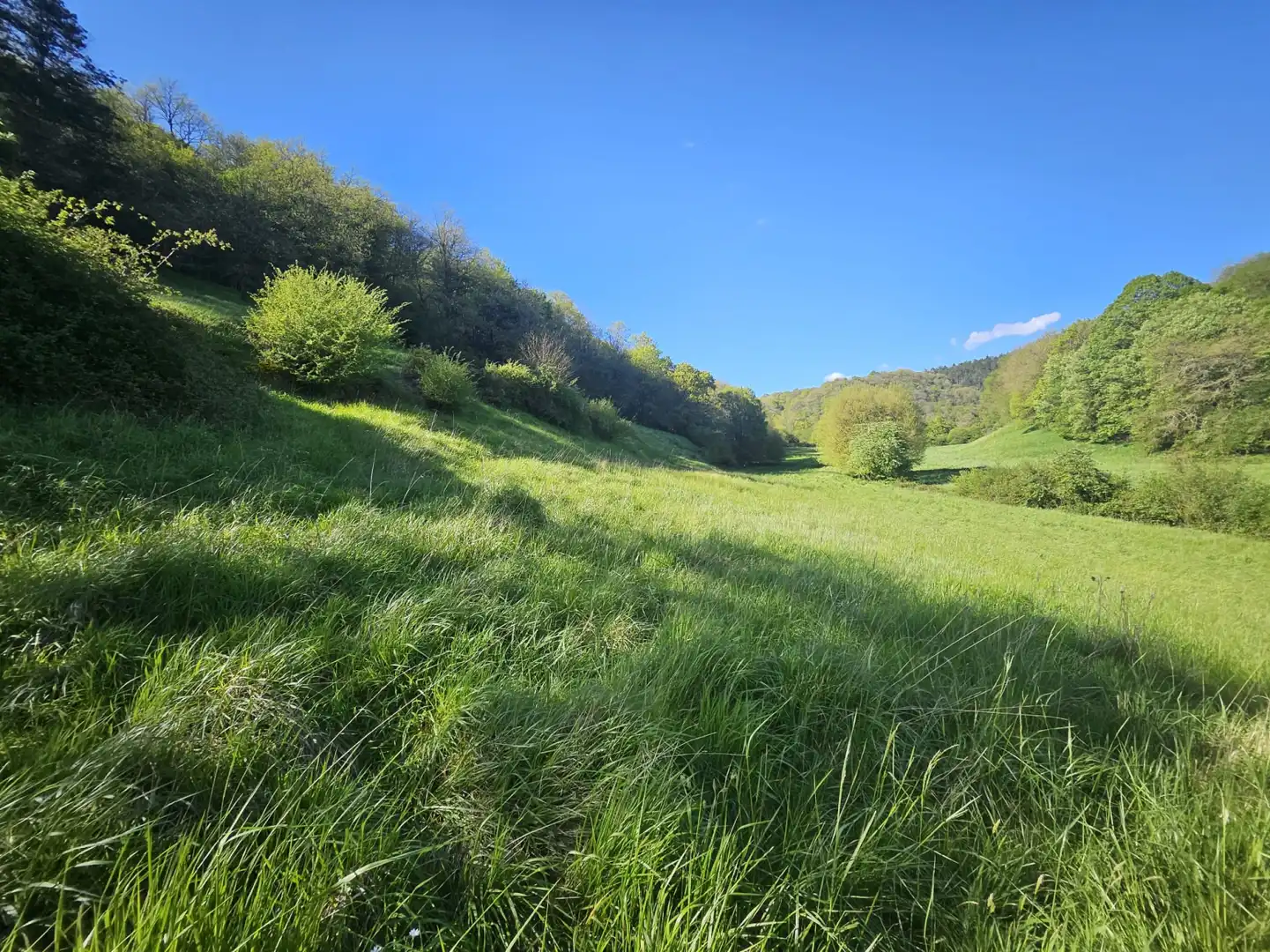 Terreno en venta en Imotz