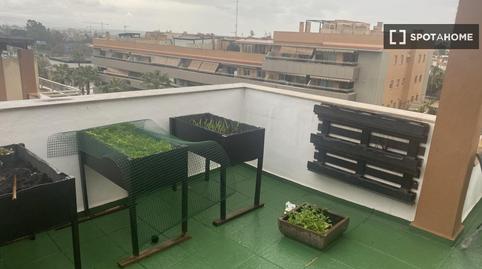 Foto 5 de Estudi per a compartir a La Colina, Torremolinos