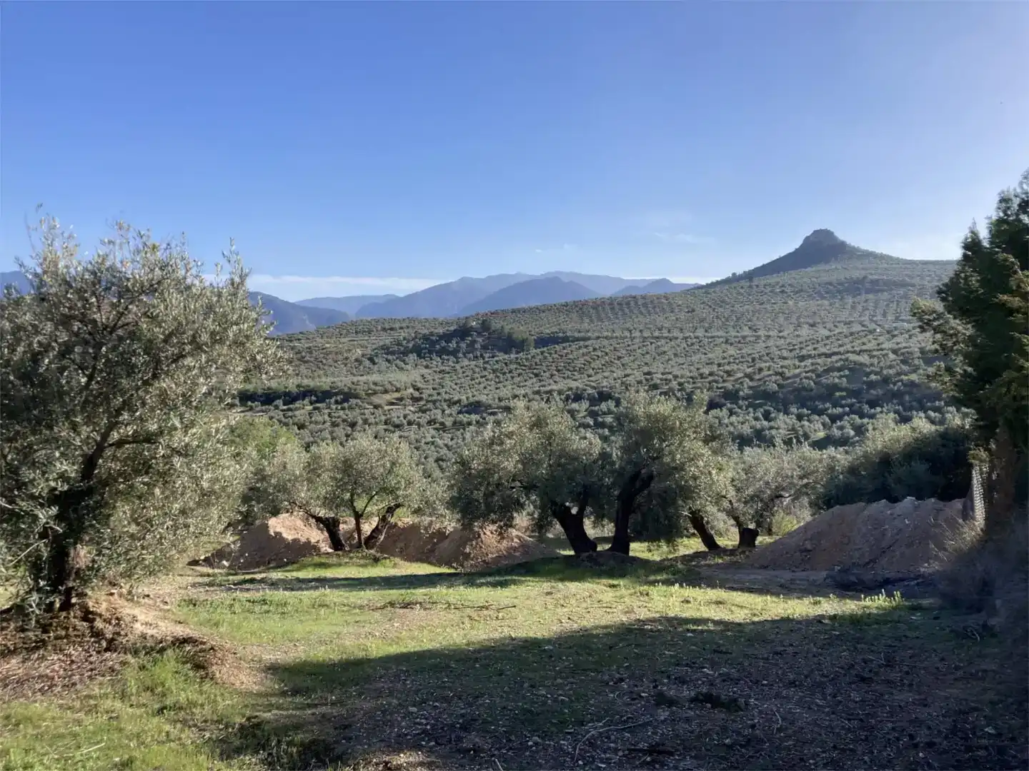 Residencial en venda a JA-3200, 13, La Salobreja