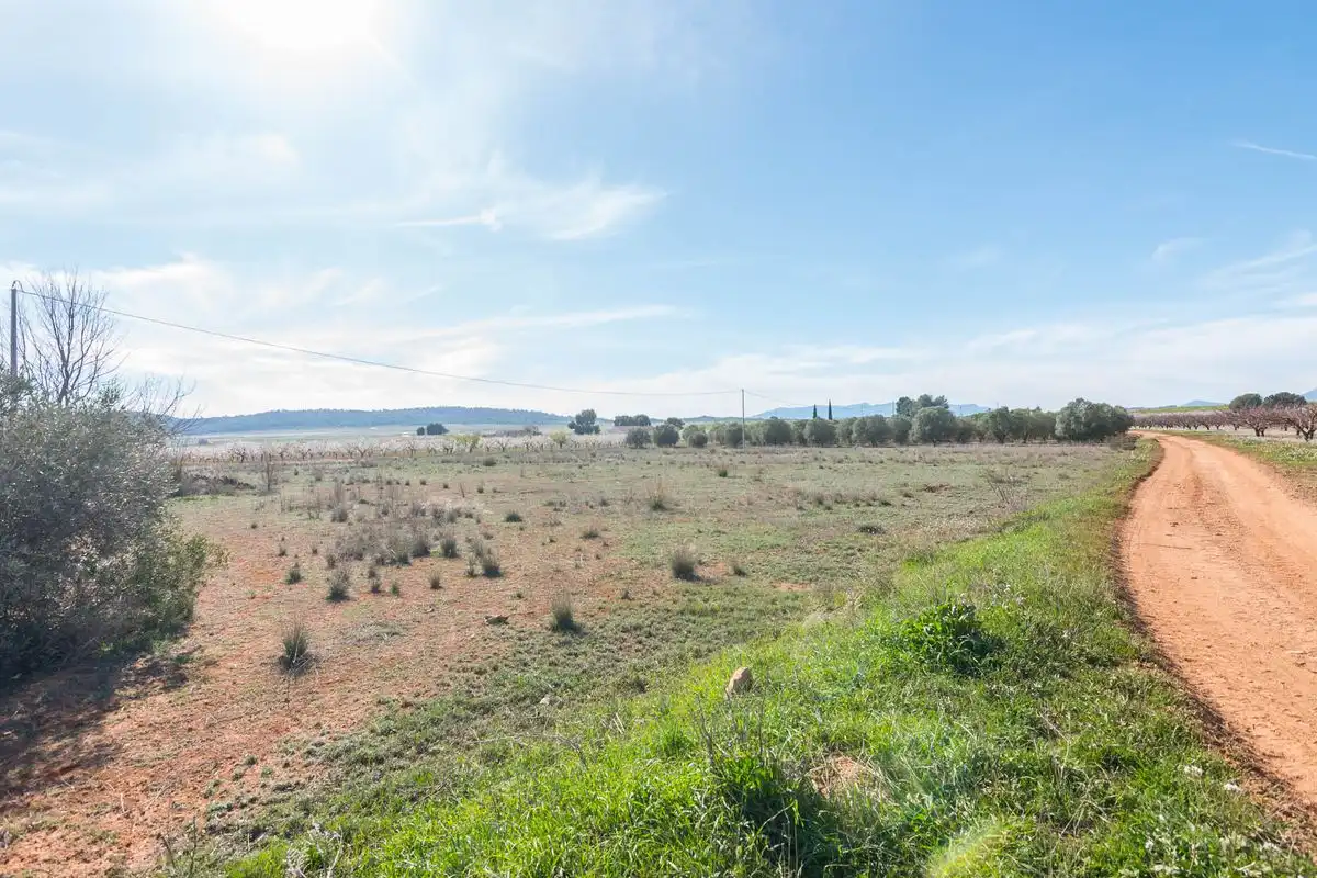 Casa rústica amb jardí en venda a ARDAL. MULA (Murcia), imagen 36