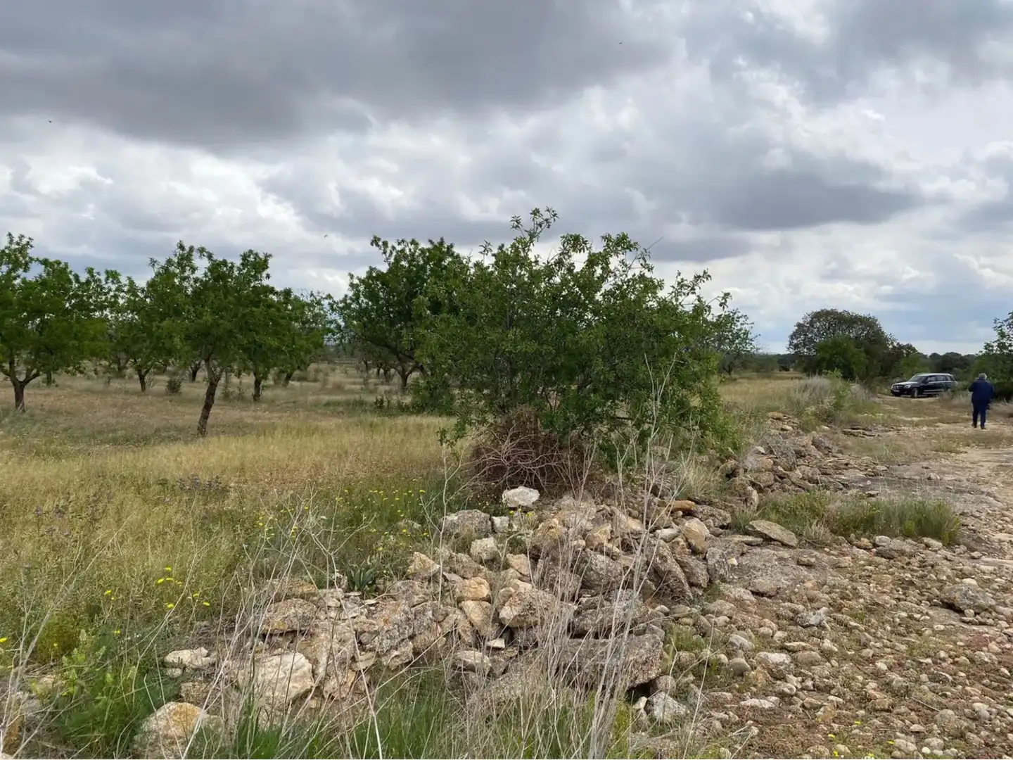 Terrain rustique à vendre à Carrer dels Teixidors, imagen 10