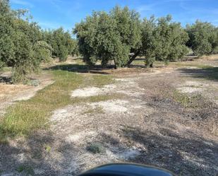 Grundstücke zum verkauf in Fuente-Tójar