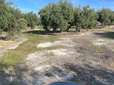 Terreno rústico en venta en Fuente-Tójar