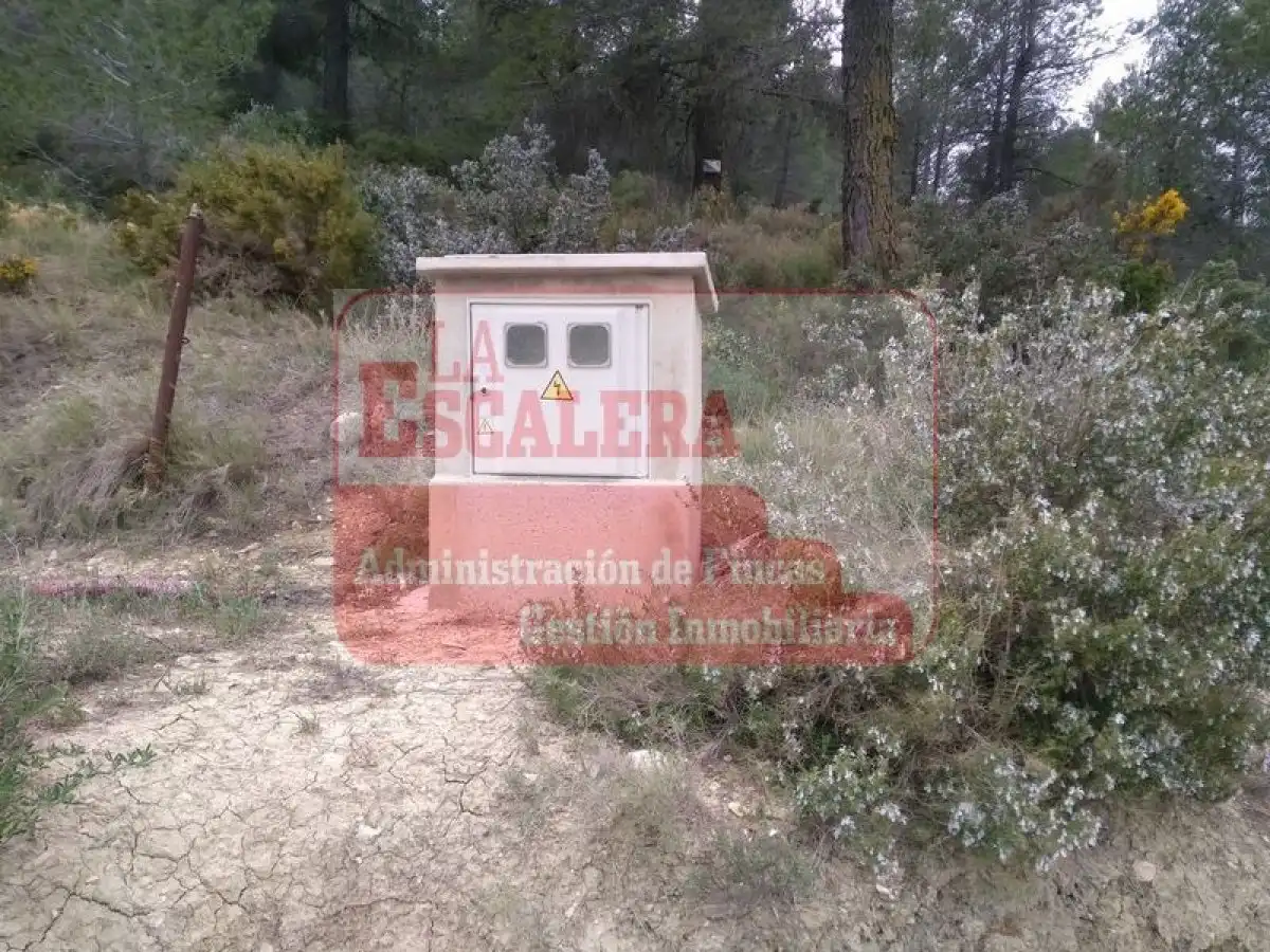 Terreny rústic en venda a Ibi, imagen 5