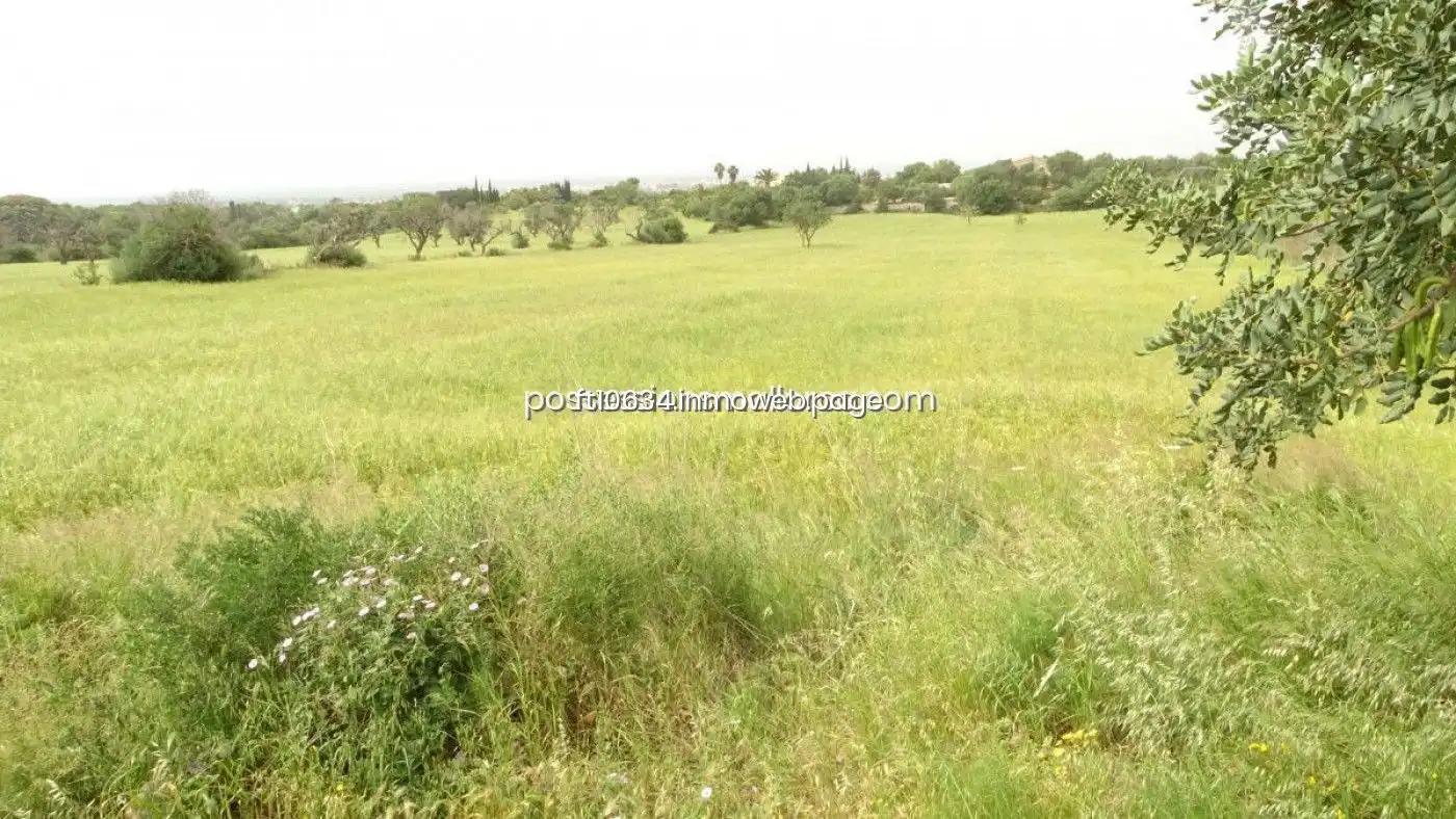Terreno rustico in vendita a Llucmajor pueblo, imagen 14