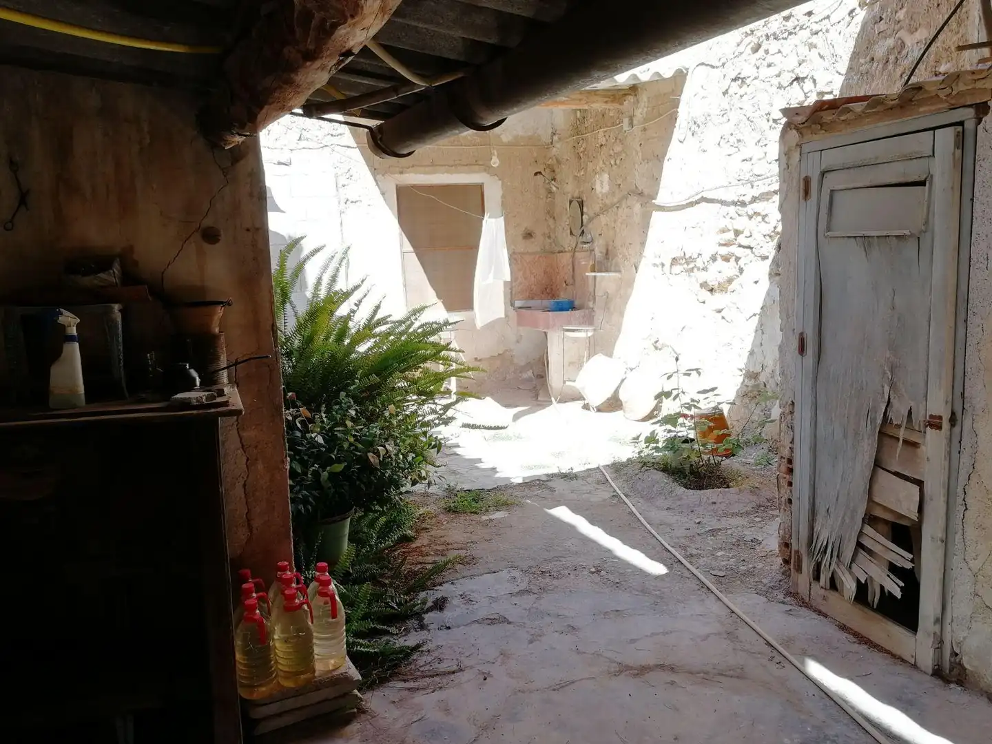 Casa o xalet en venda en Blanca amb Jardí privat