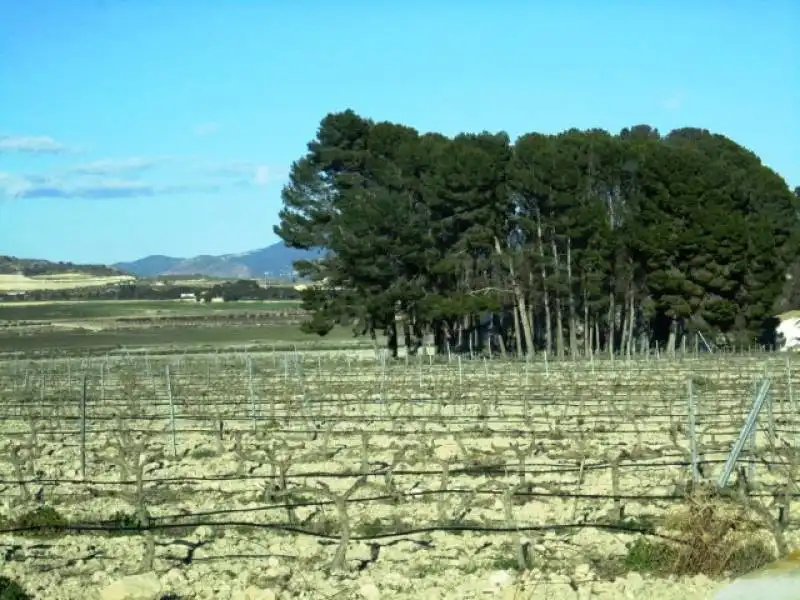 Rustikales Grundstück zum Verkauf in Salinas