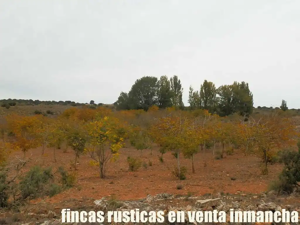 Terreny rústic en venda a Calle Albacete 10, imagen 10