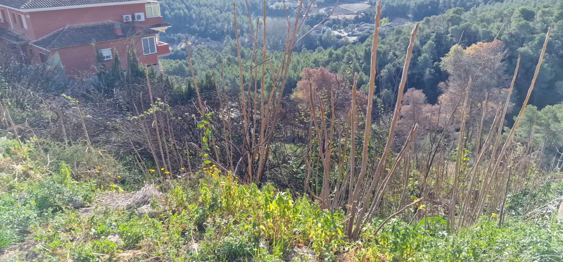 Residential land for sale in Carrer Doctor Cuatrecasas 63, imagen 18