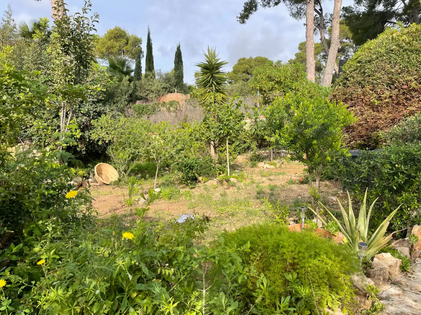 Apartamento en venta en Calvià con Horno y Piscina comunitaria