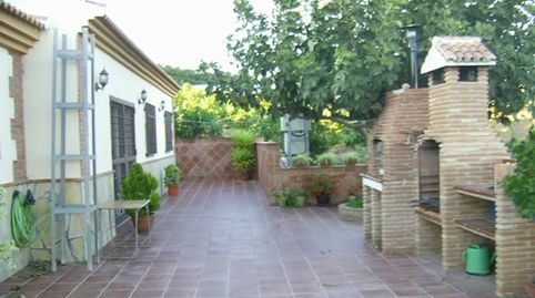 Casa rural con encanto: piscina, barbacoa y plantación de mangos, imagen 3