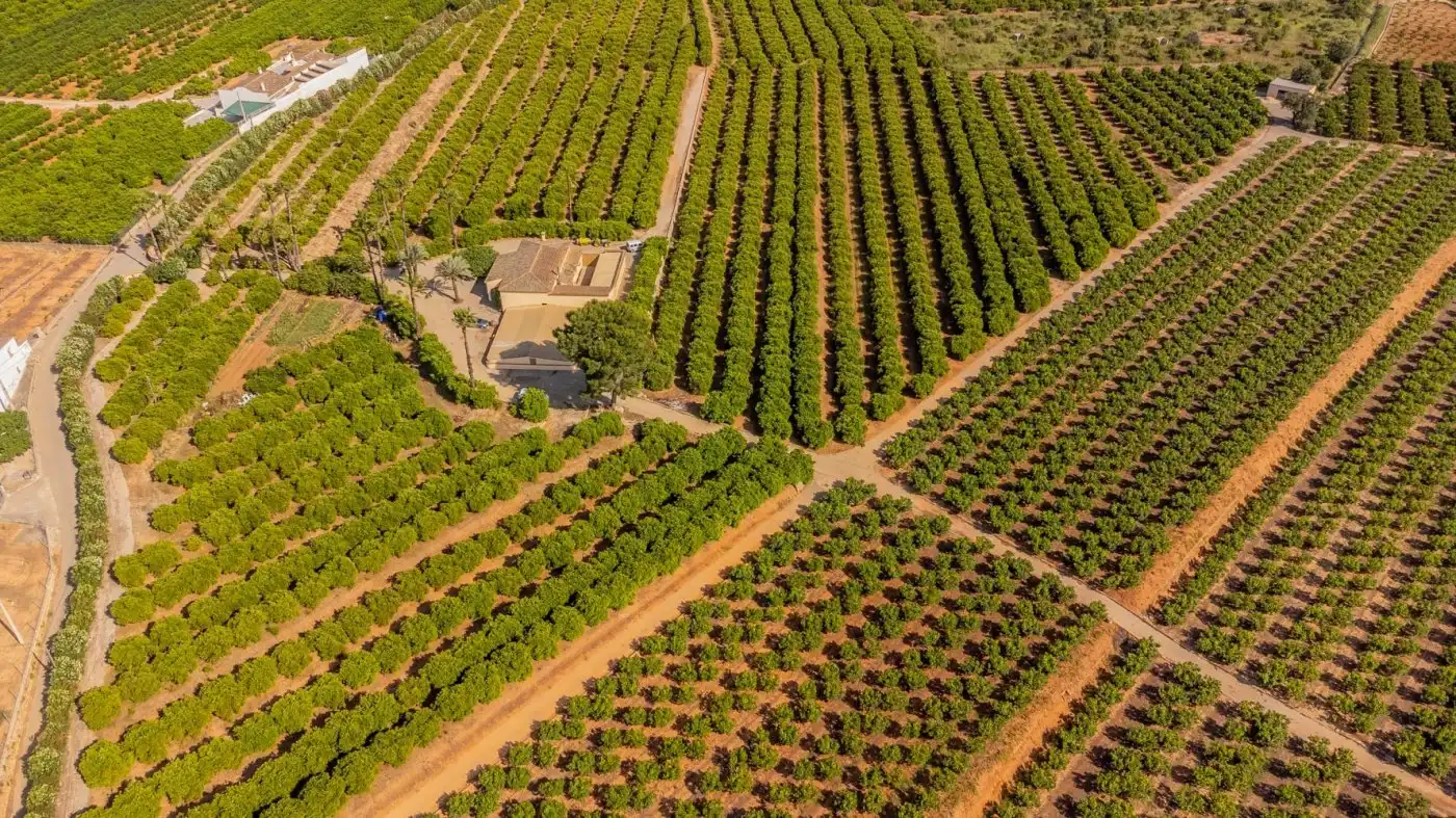 Jardí de Finca rústica en venda en L'Énova amb Terrassa, Traster i Alarma