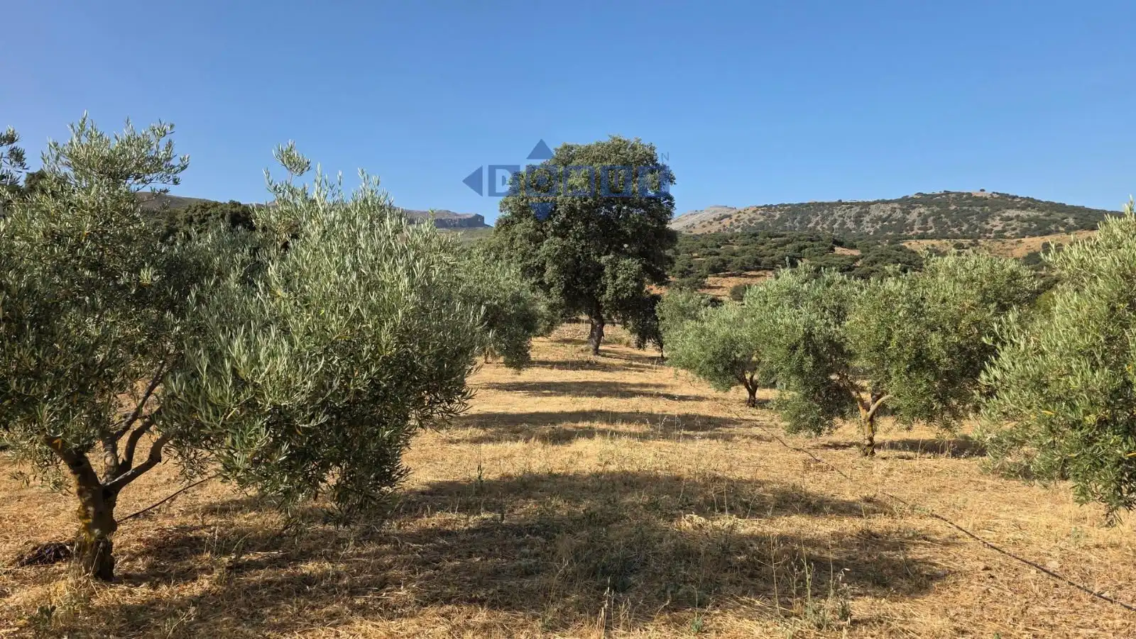 Terreno en venta en Camino Cartajima, carretera de san pedro, Partidas Sur