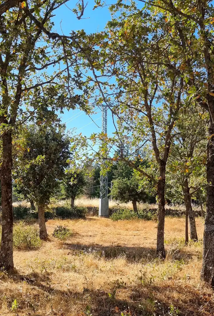 Terreno rustico in vendita a Carretera de Valdemanco 33, imagen 4