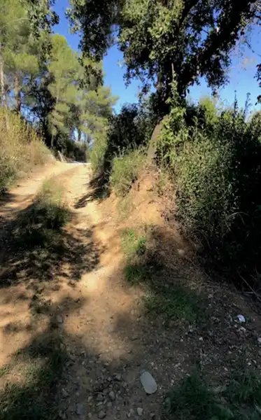 Terreno residenziale in vendita a Vallesa, imagen 14