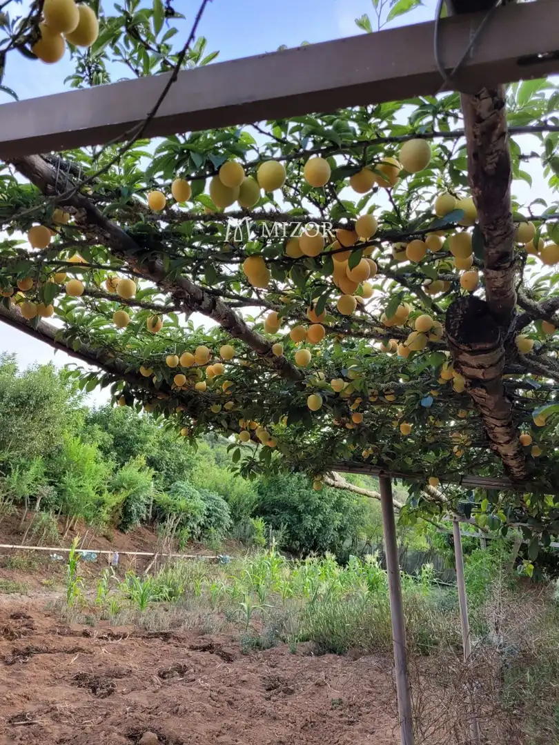 Rural land for sale in el rodeo, imagen 38