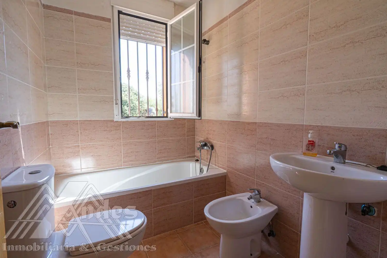 Baño de Casa o chalet en venta en Zarzuela del Monte con Calefacción, Jardín privado y Terraza