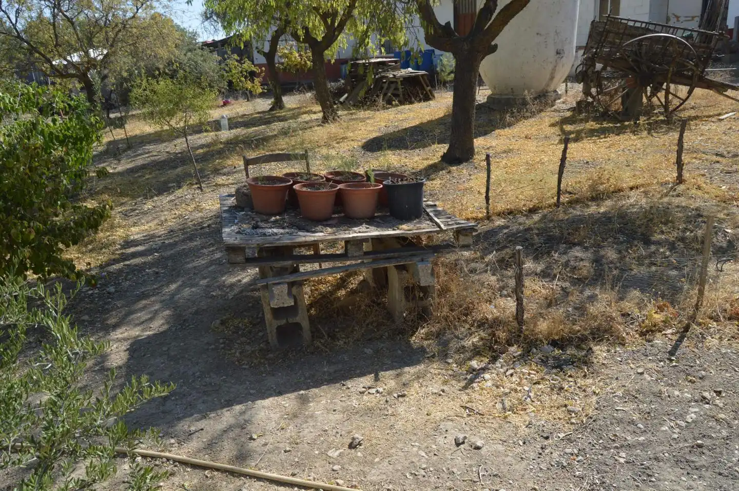 Jardí de Finca rústica en venda en Tarancón amb Jardí privat