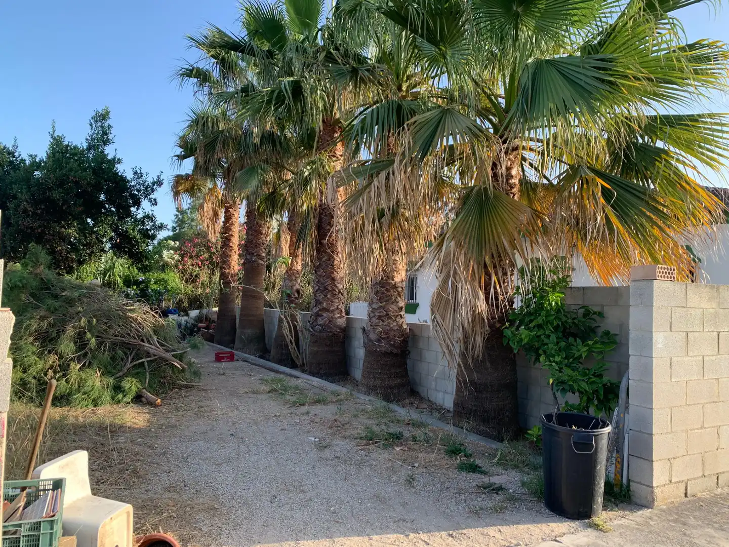 Villa mit Pool zum Verkauf in Pelagatos - Pago del Humo, imagen 44