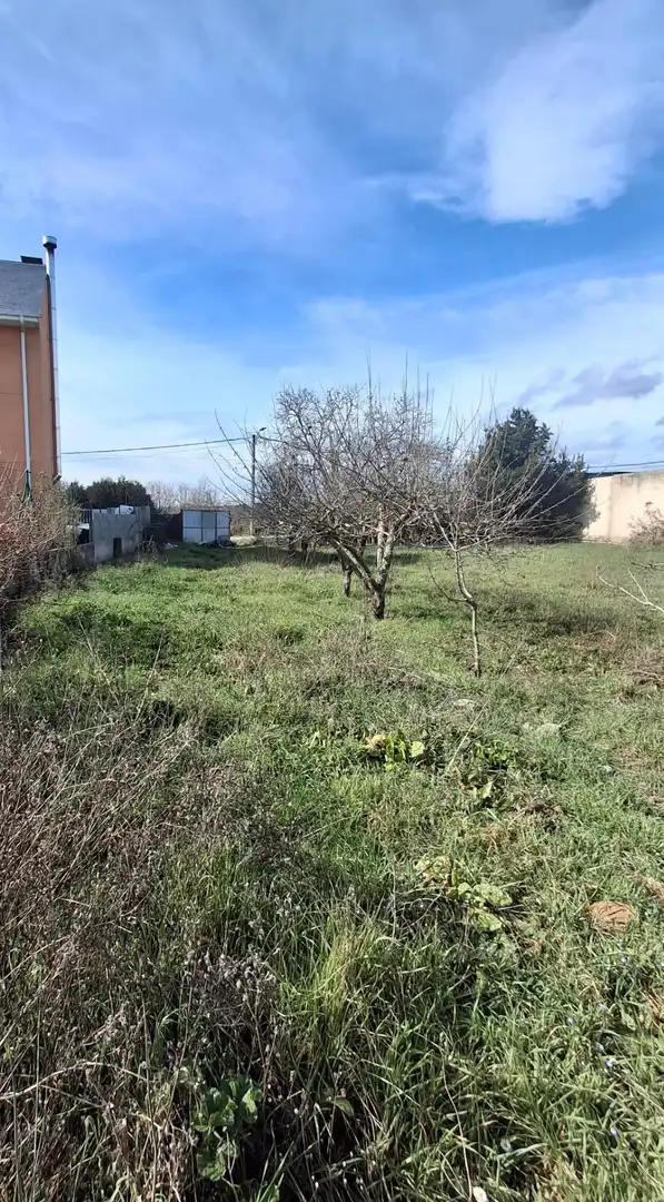 Terreni e lotti in vendita a Cubillos del Sil, imagen 4