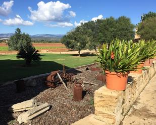 Jardí de Finca rústica en venda en  Palma de Mallorca amb Aire condicionat, Calefacció i Jardí privat